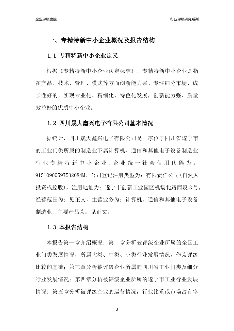 [专精特新]四川晟大鑫兴电子有限公司行业竞争力评级分析报告(2023版)_第3页