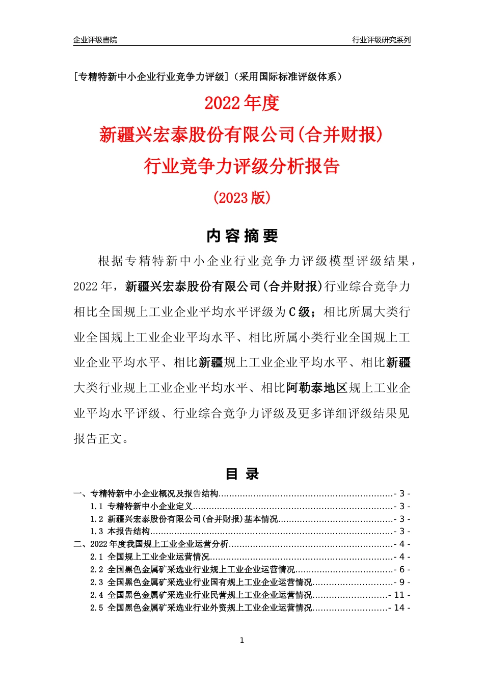 [专精特新]新疆兴宏泰股份有限公司(合并财报)行业竞争力评级分析报告(2023版)_第1页
