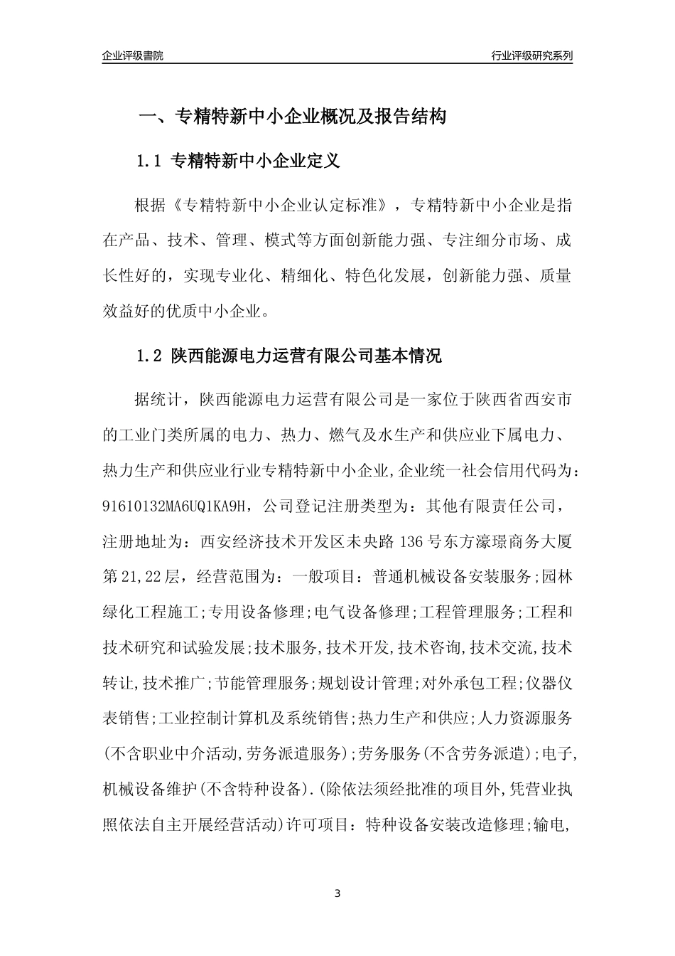 [专精特新]陕西能源电力运营有限公司行业竞争力评级分析报告(2023版)_第3页