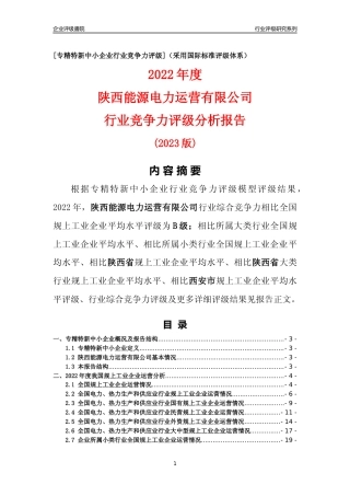 [专精特新]陕西能源电力运营有限公司行业竞争力评级分析报告(2023版)