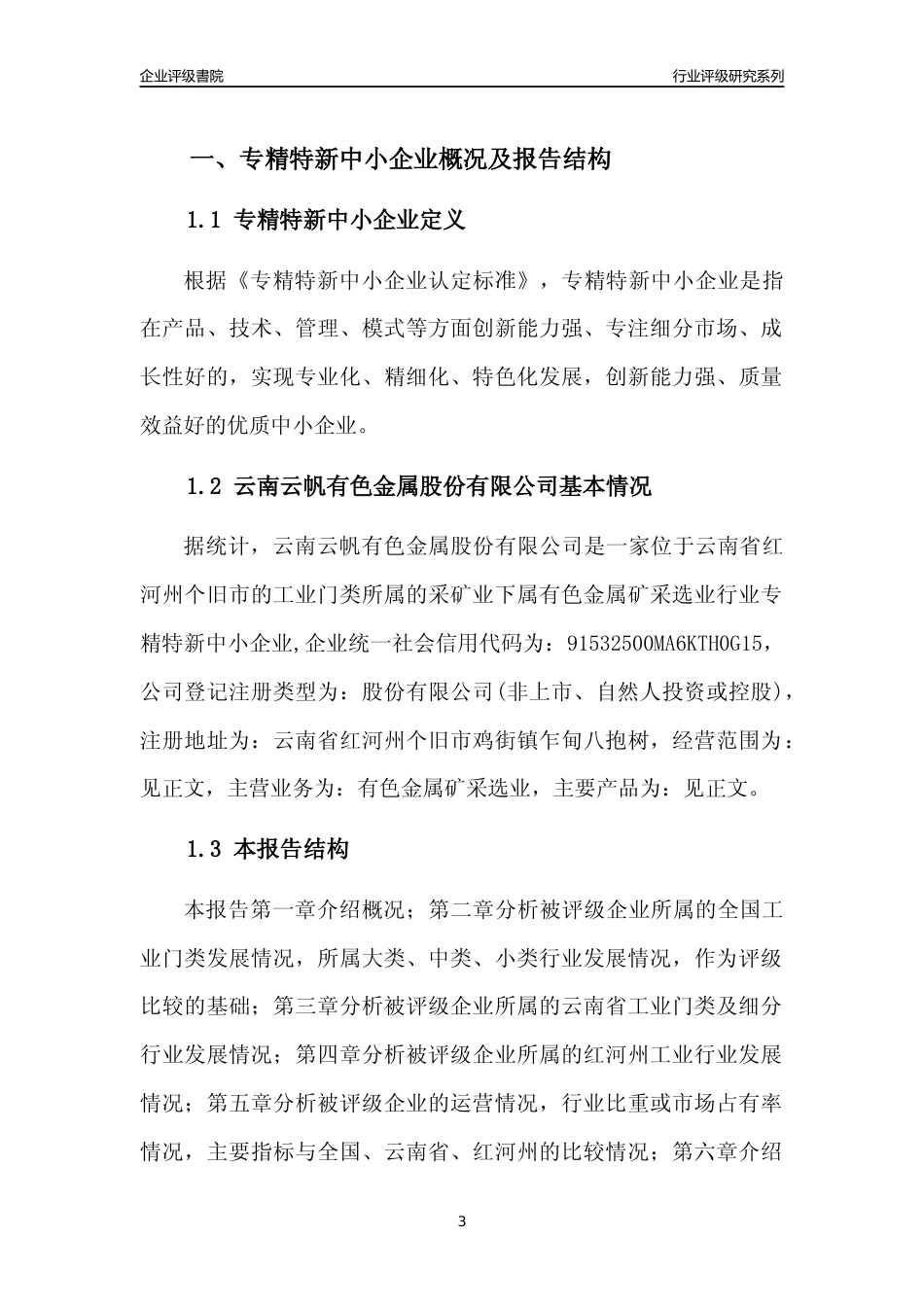 [专精特新]云南云帆有色金属股份有限公司行业竞争力评级分析报告(2023版)_第3页