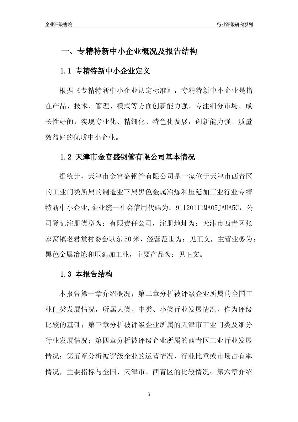 [专精特新]天津市金富盛钢管有限公司行业竞争力评级分析报告(2023版)_第3页