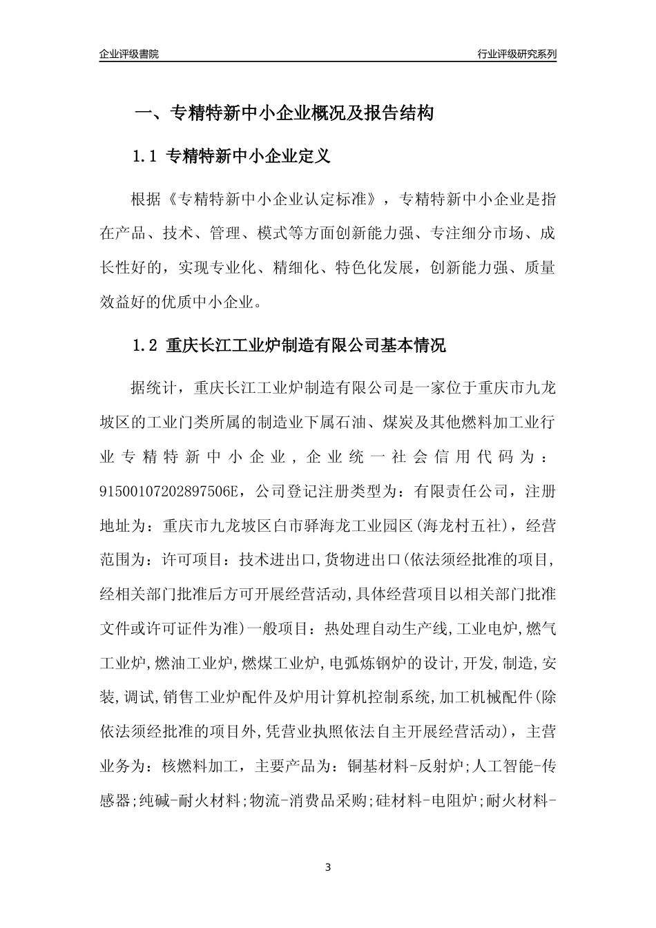 [专精特新]重庆长江工业炉制造有限公司行业竞争力评级分析报告(2023版)_第3页
