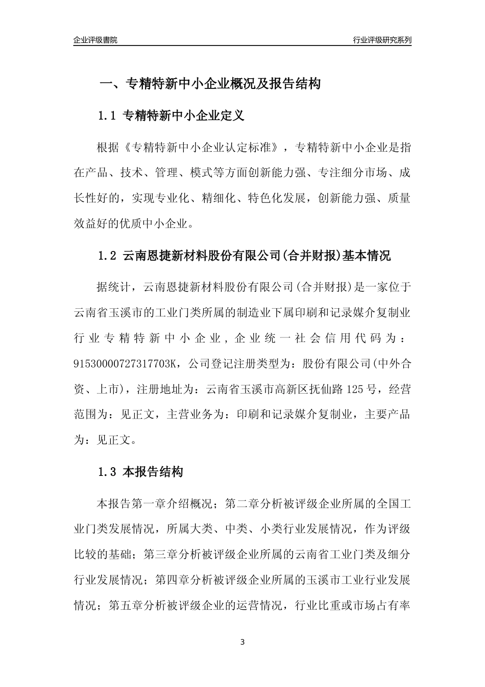 [专精特新]云南恩捷新材料股份有限公司(合并财报)行业竞争力评级分析报告(2023版)_第3页