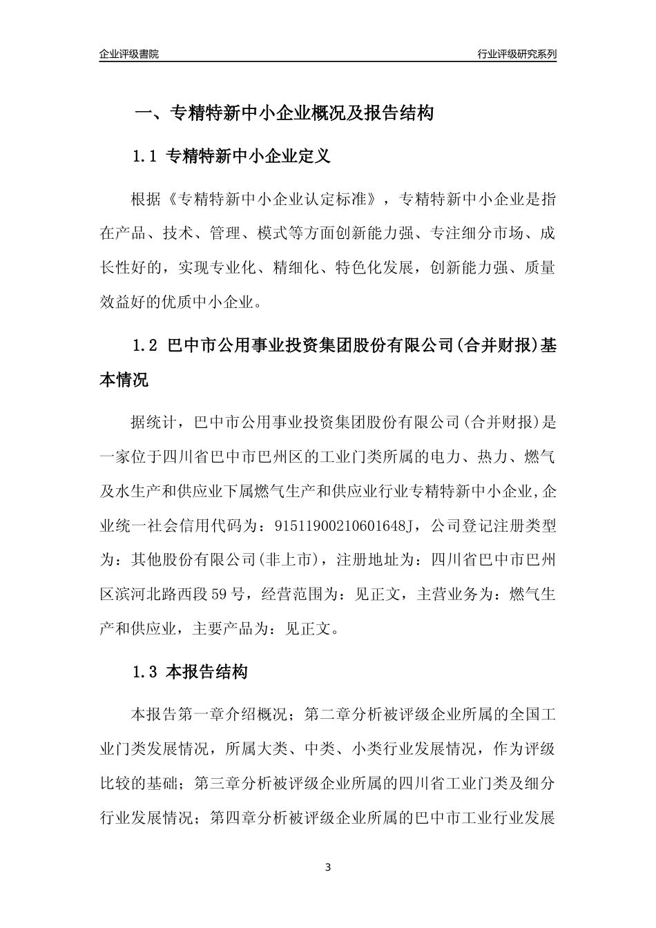 [专精特新]巴中市公用事业投资集团股份有限公司(合并财报)行业竞争力评级分析报告(2023版)_第3页