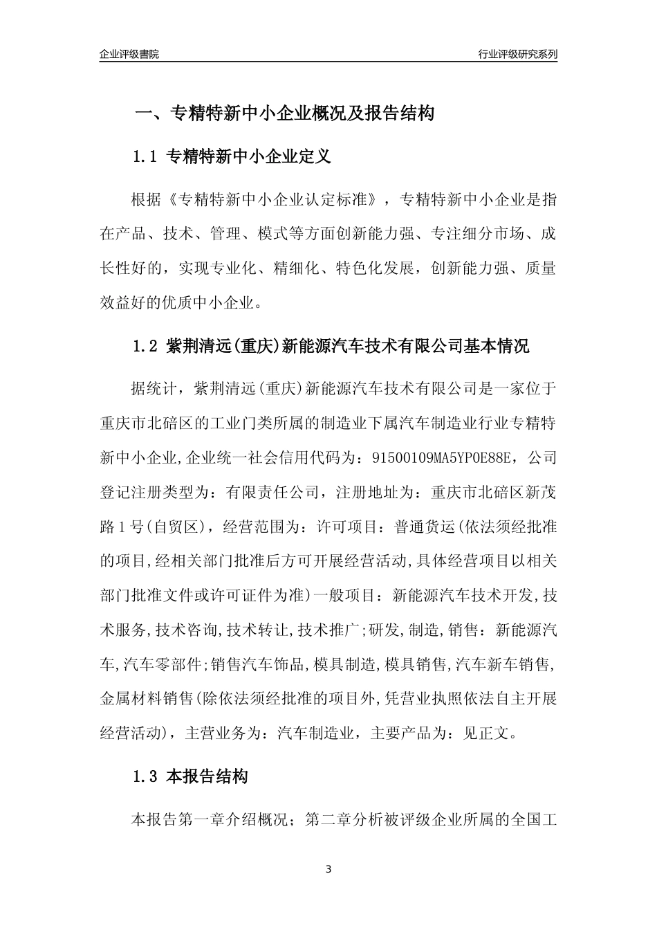 [专精特新]紫荆清远(重庆)新能源汽车技术有限公司行业竞争力评级分析报告(2023版)_第3页