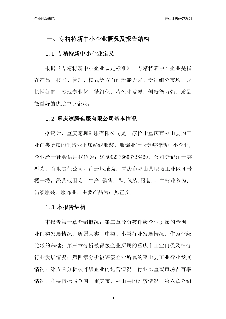 [专精特新]重庆速腾鞋服有限公司行业竞争力评级分析报告(2023版)_第3页