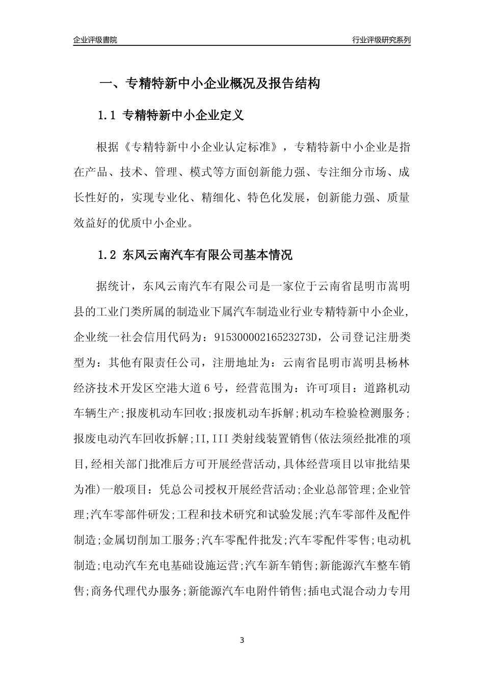 [专精特新]东风云南汽车有限公司行业竞争力评级分析报告(2023版)_第3页