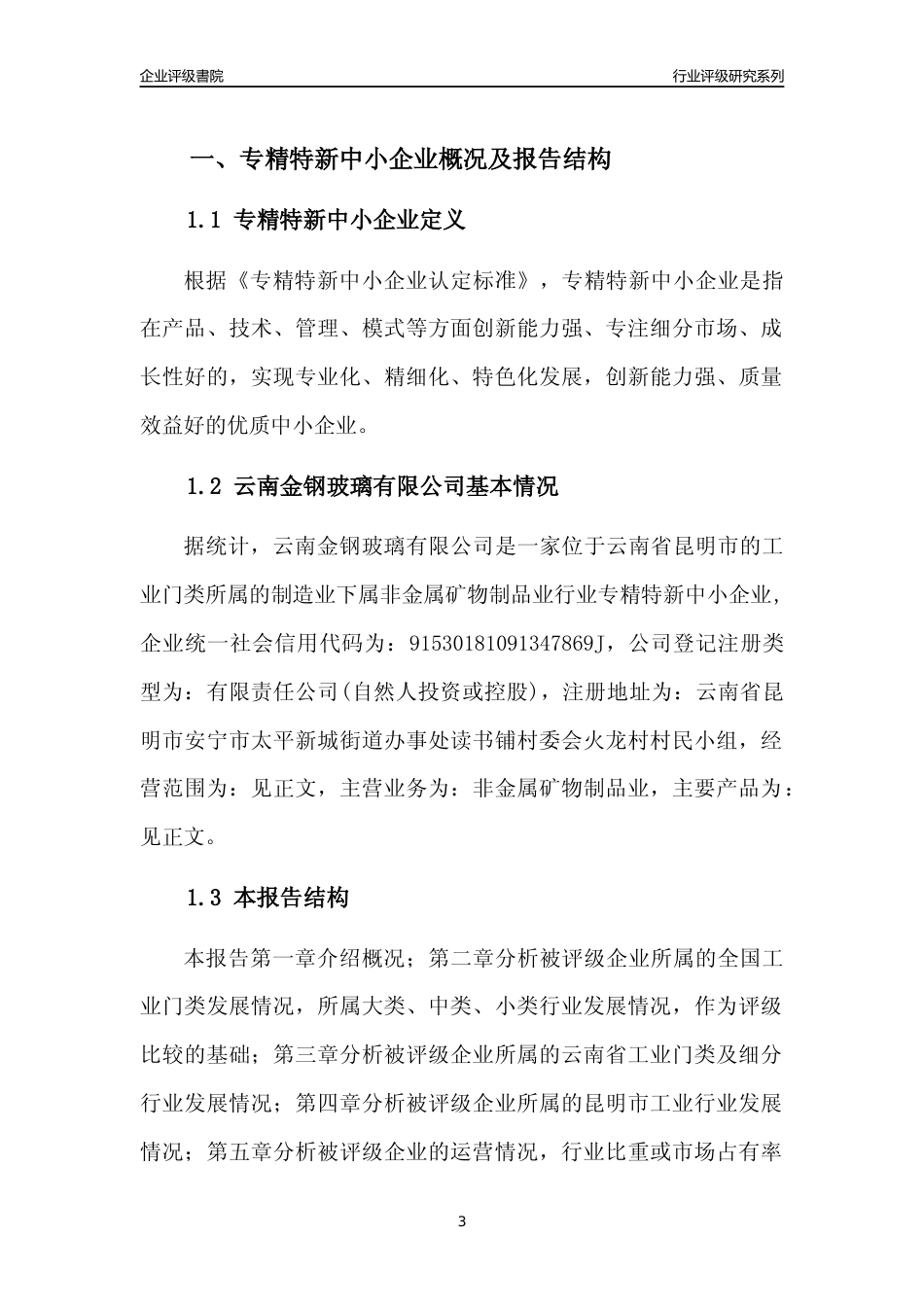[专精特新]云南金钢玻璃有限公司行业竞争力评级分析报告(2023版)_第3页