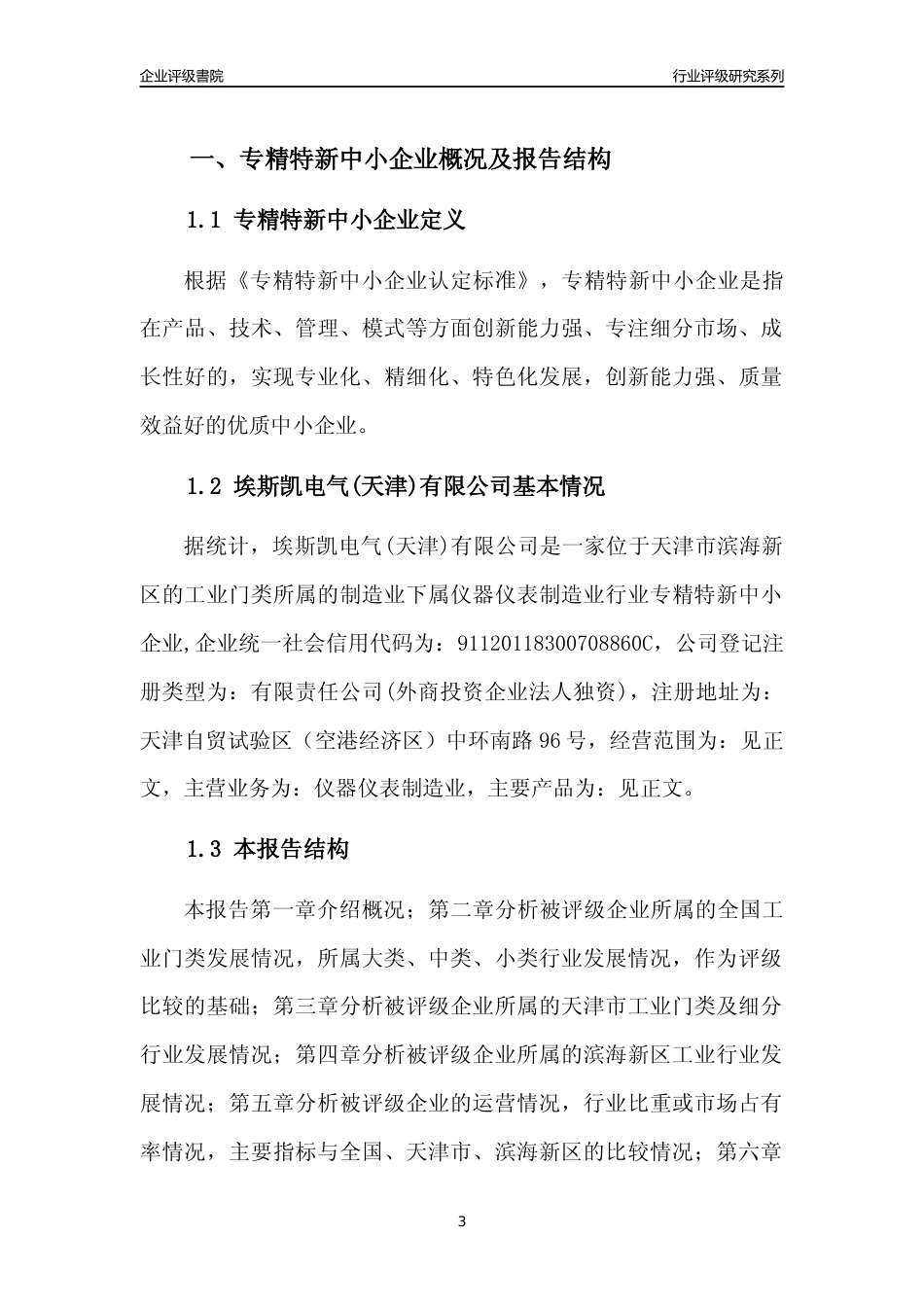 [专精特新]埃斯凯电气(天津)有限公司行业竞争力评级分析报告(2023版)_第3页