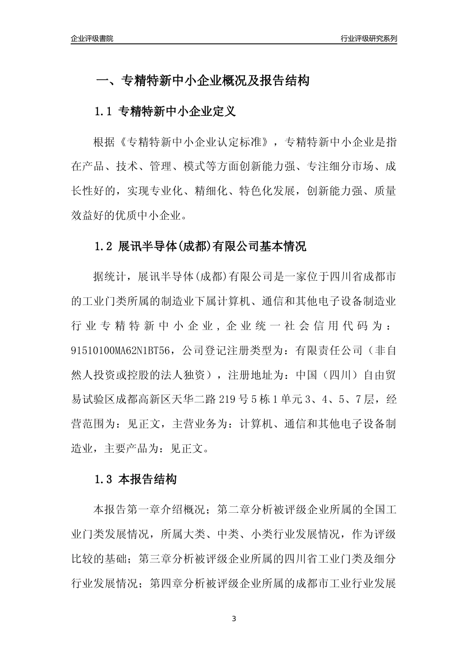 [专精特新]展讯半导体(成都)有限公司行业竞争力评级分析报告(2023版)_第3页