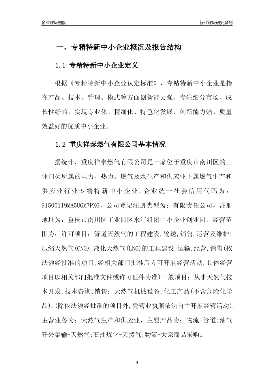 [专精特新]重庆祥泰燃气有限公司行业竞争力评级分析报告(2023版)_第3页