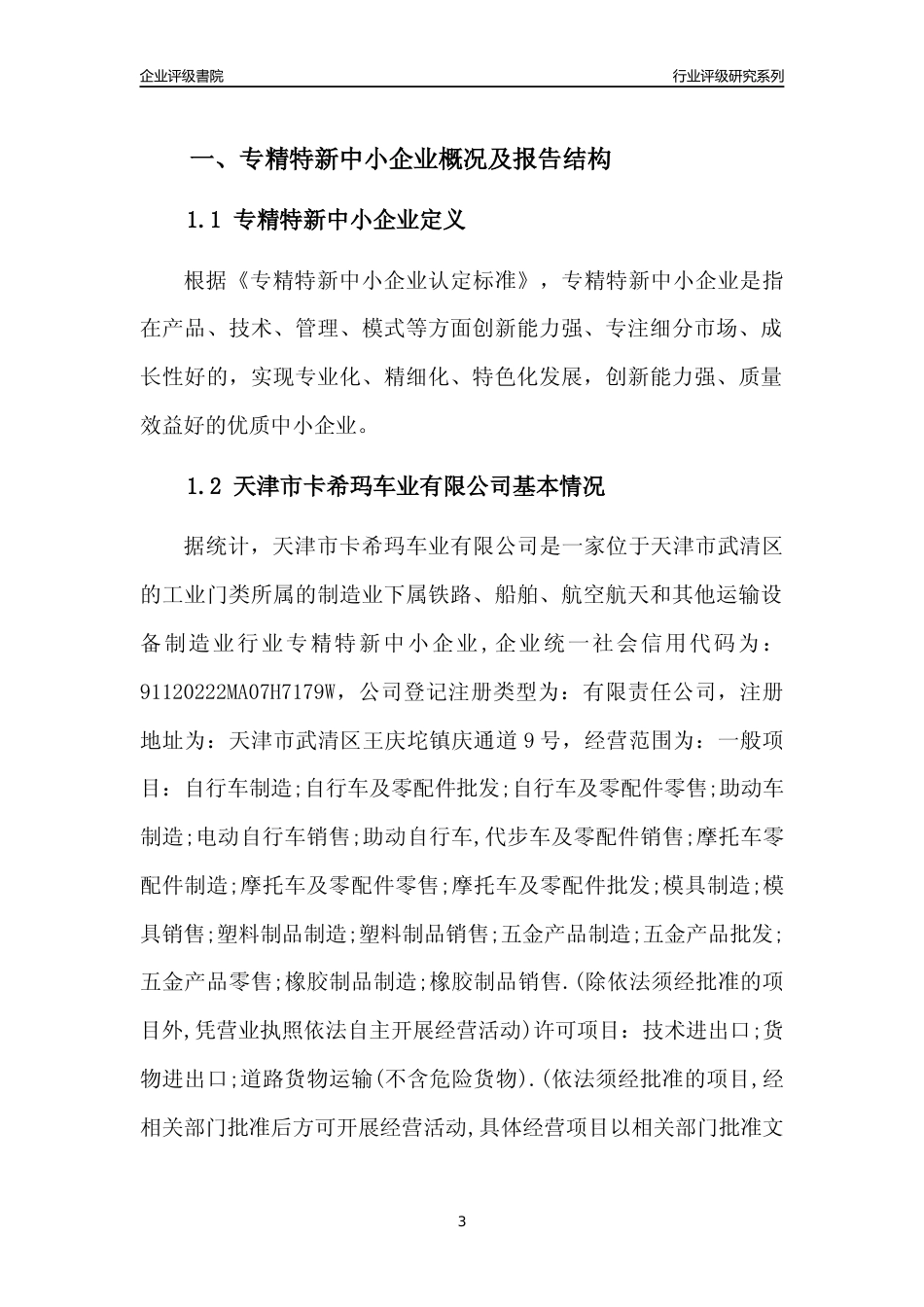 [专精特新]天津市卡希玛车业有限公司行业竞争力评级分析报告(2023版)_第3页