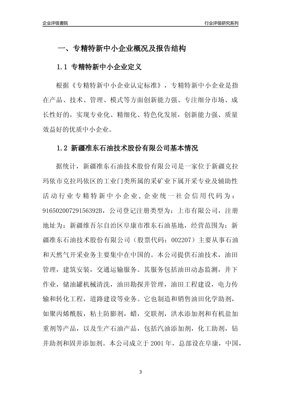 [专精特新]新疆准东石油技术股份有限公司行业竞争力评级分析报告(2023版)_第3页