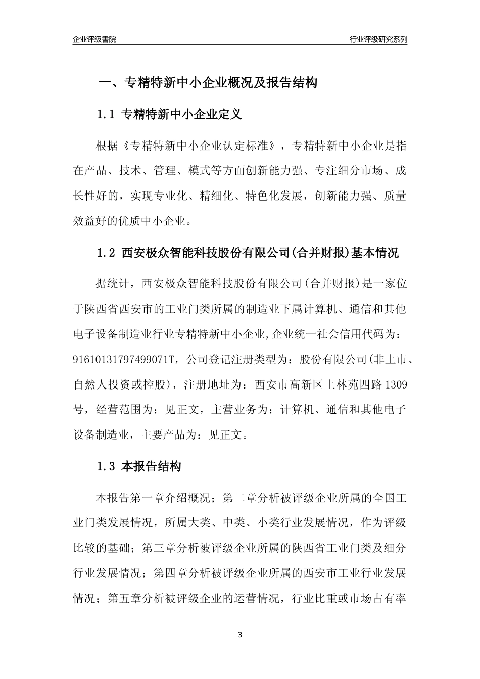 [专精特新]西安极众智能科技股份有限公司(合并财报)行业竞争力评级分析报告(2023版)_第3页