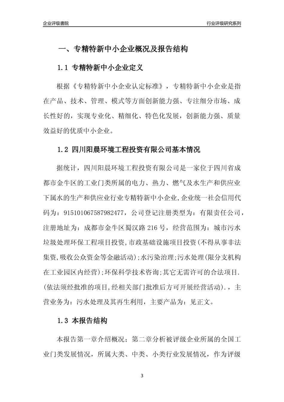 [专精特新]四川阳晨环境工程投资有限公司行业竞争力评级分析报告(2023版)_第3页