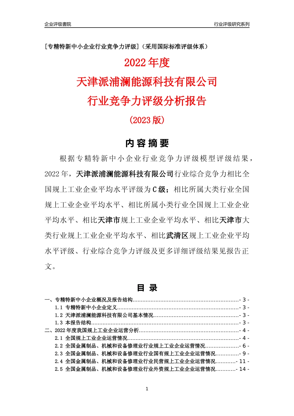 [专精特新]天津派浦澜能源科技有限公司行业竞争力评级分析报告(2023版)_第1页