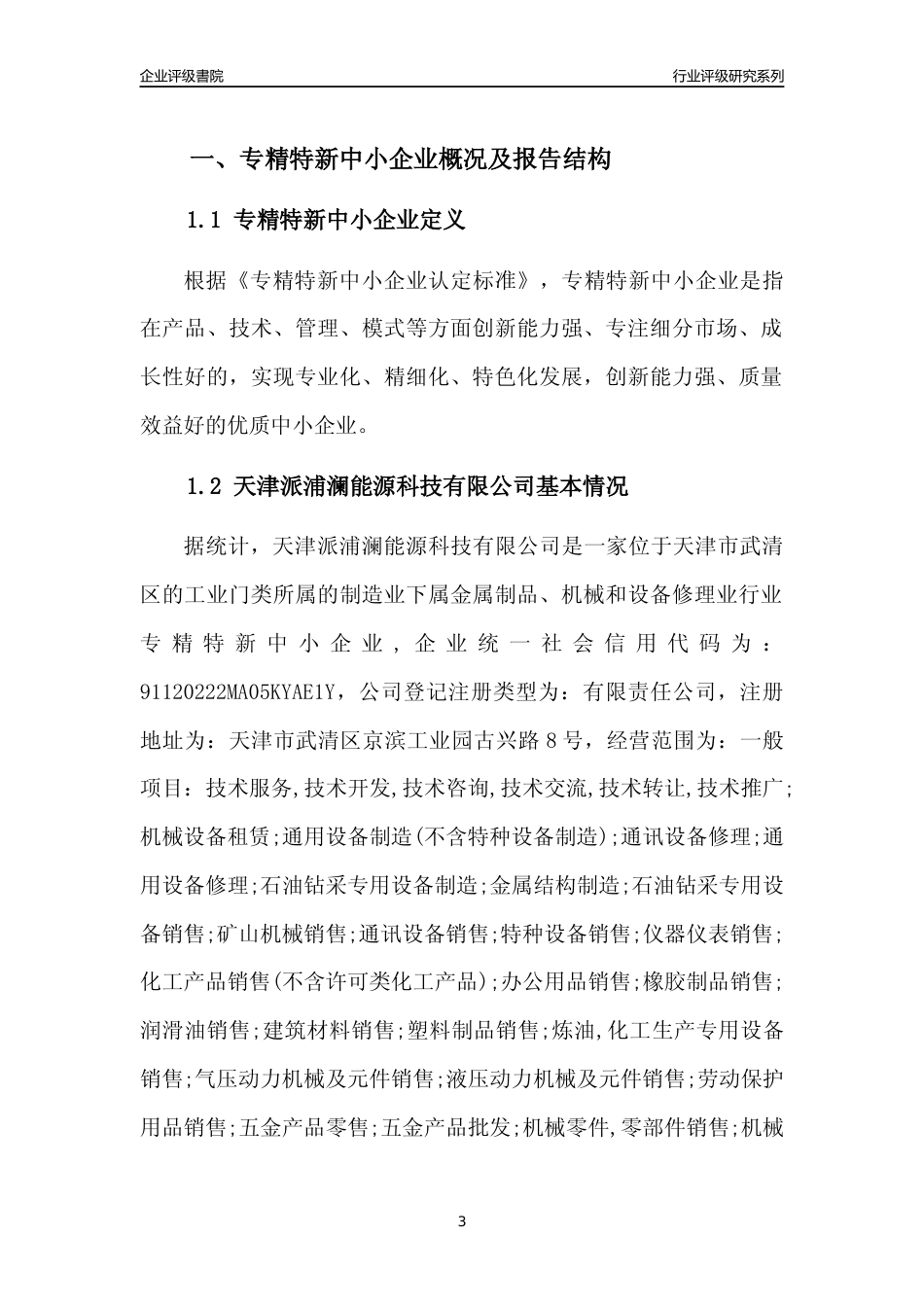 [专精特新]天津派浦澜能源科技有限公司行业竞争力评级分析报告(2023版)_第3页