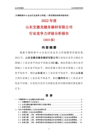 [专精特新]山东宝德龙健身器材有限公司行业竞争力评级分析报告(2023版)