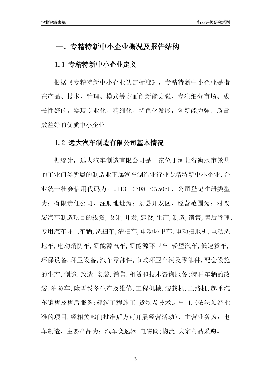 [专精特新]远大汽车制造有限公司行业竞争力评级分析报告(2023版)_第3页