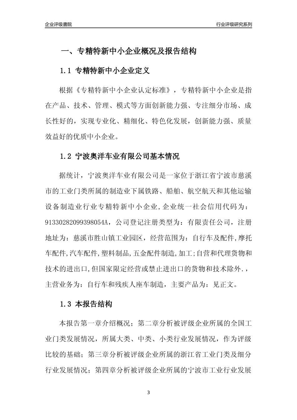 [专精特新]宁波奥洋车业有限公司行业竞争力评级分析报告(2023版)_第3页