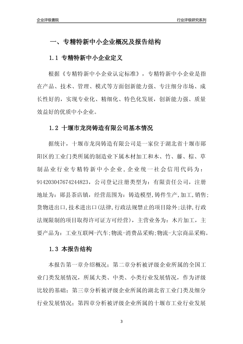[专精特新]十堰市龙岗铸造有限公司行业竞争力评级分析报告(2023版)_第3页
