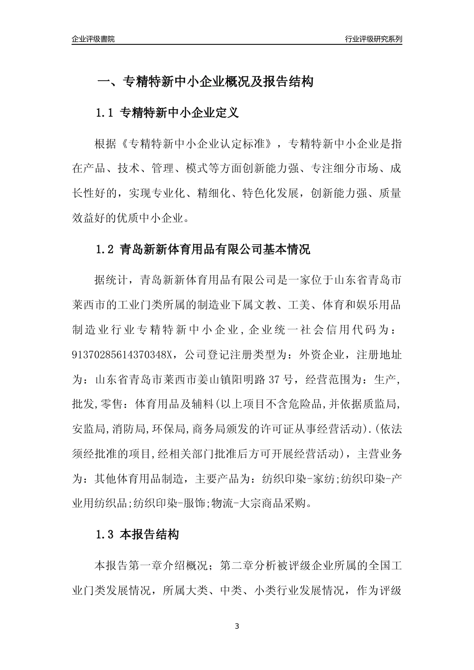 [专精特新]青岛新新体育用品有限公司行业竞争力评级分析报告(2023版)_第3页