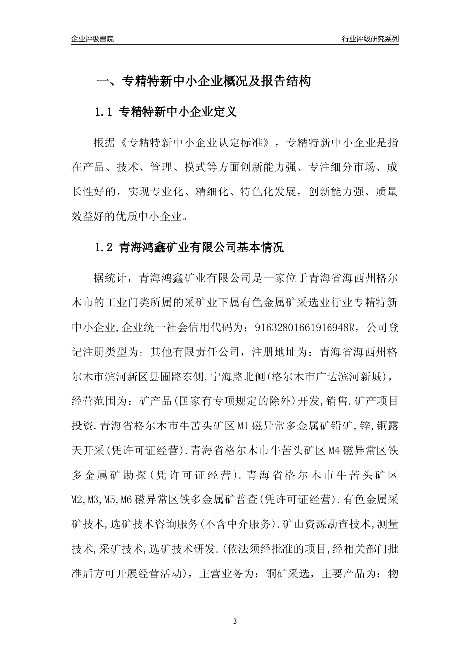 [专精特新]青海鸿鑫矿业有限公司行业竞争力评级分析报告(2023版)_第3页