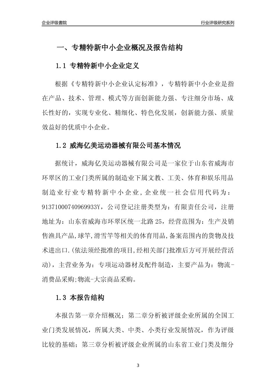 [专精特新]威海亿美运动器械有限公司行业竞争力评级分析报告(2023版)_第3页