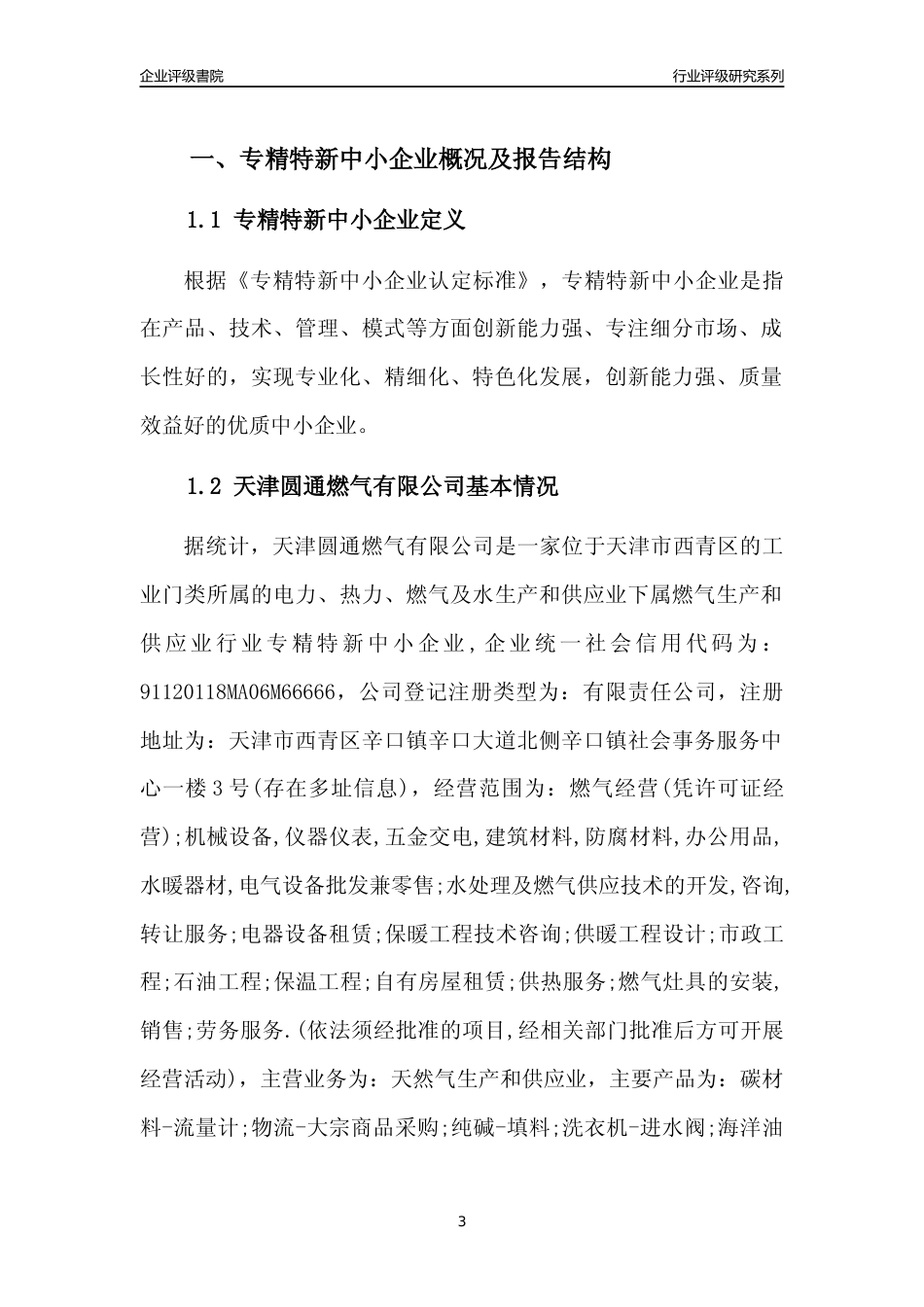 [专精特新]天津圆通燃气有限公司行业竞争力评级分析报告(2023版)_第3页