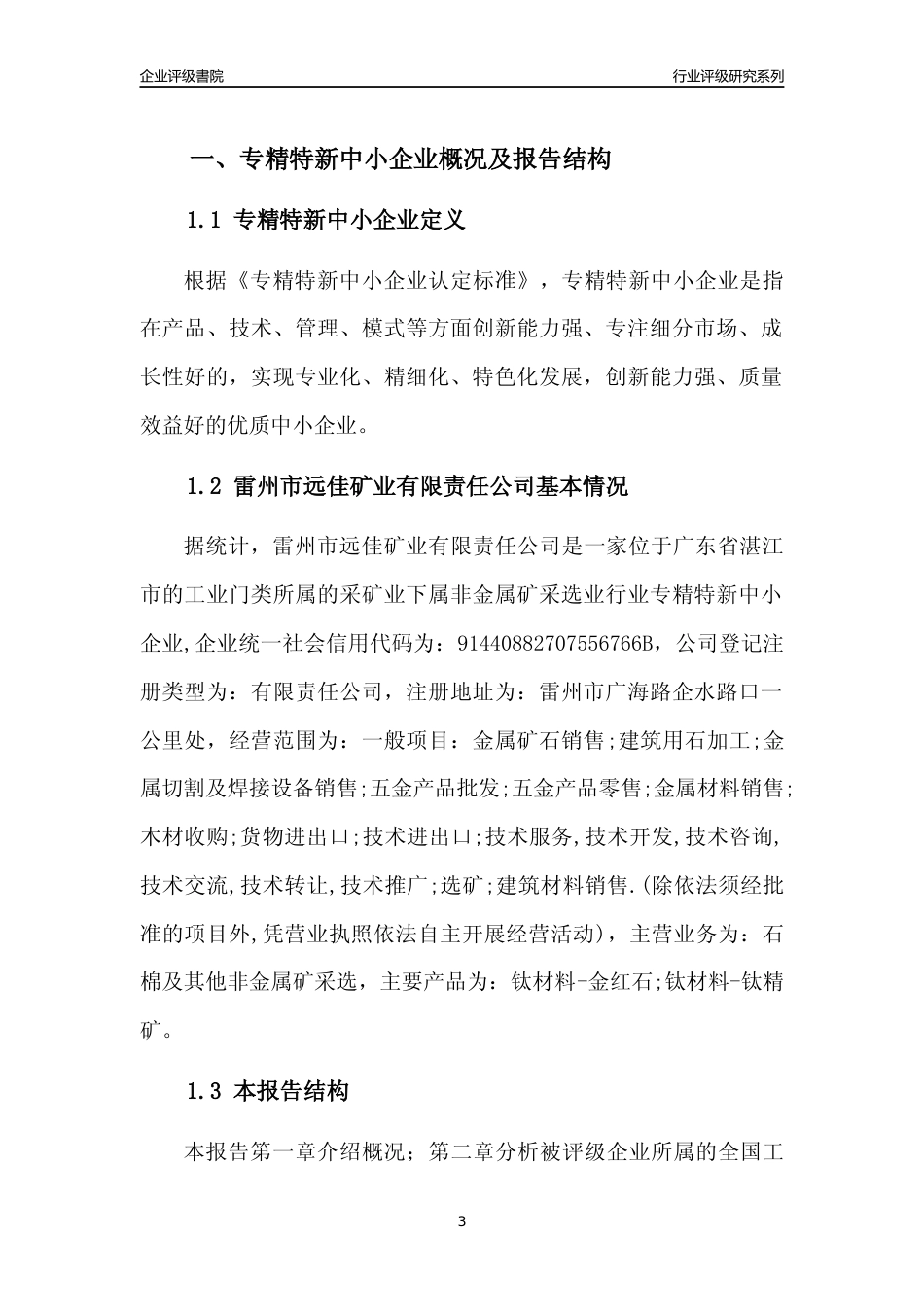 [专精特新]雷州市远佳矿业有限责任公司行业竞争力评级分析报告(2023版)_第3页