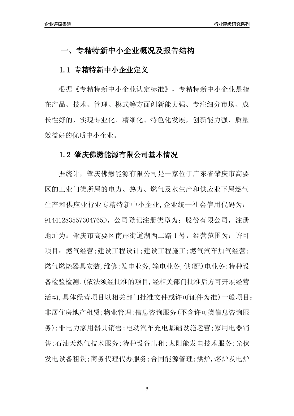 [专精特新]肇庆佛燃能源有限公司行业竞争力评级分析报告(2023版)_第3页
