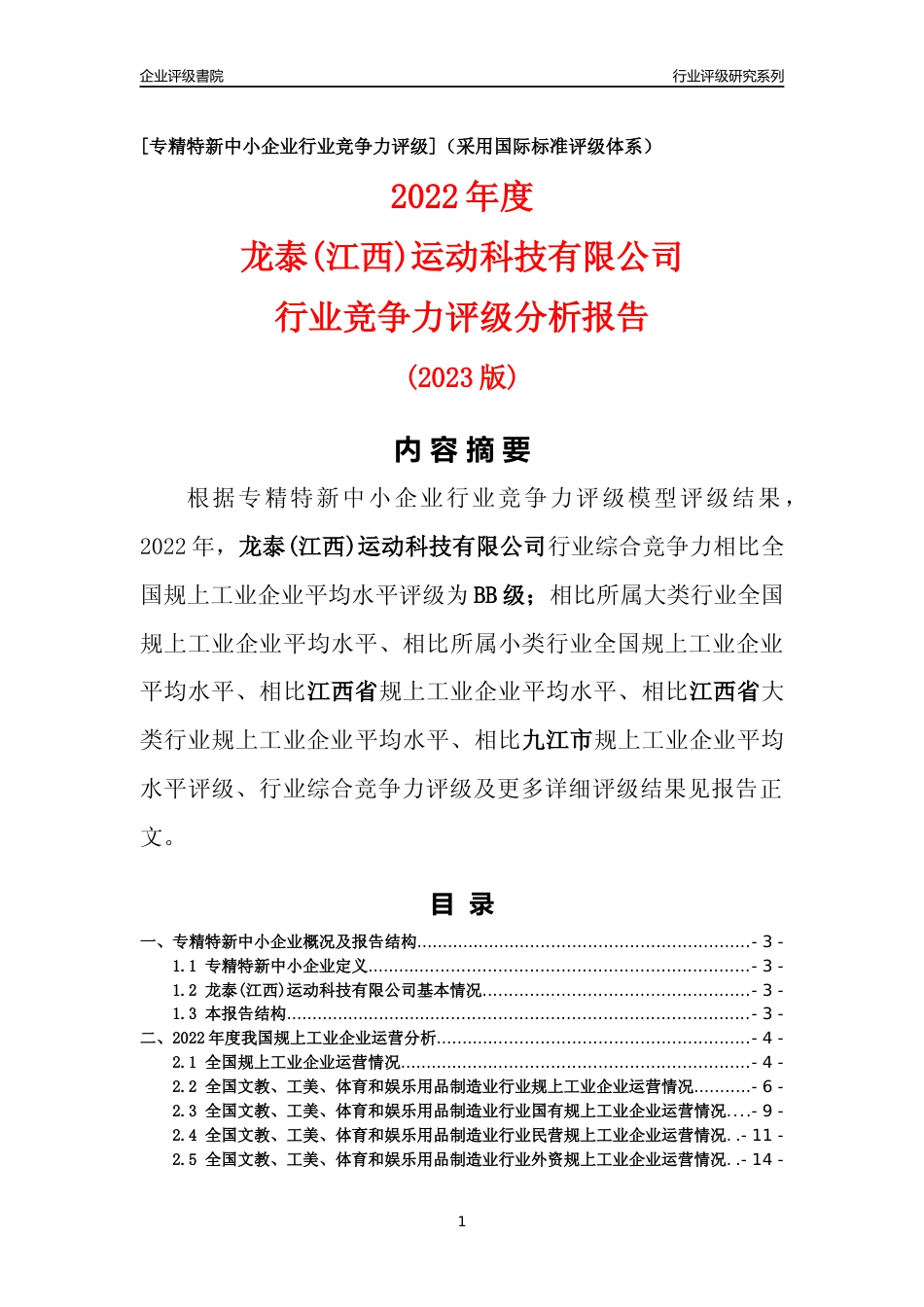 [专精特新]龙泰(江西)运动科技有限公司行业竞争力评级分析报告(2023版)_第1页