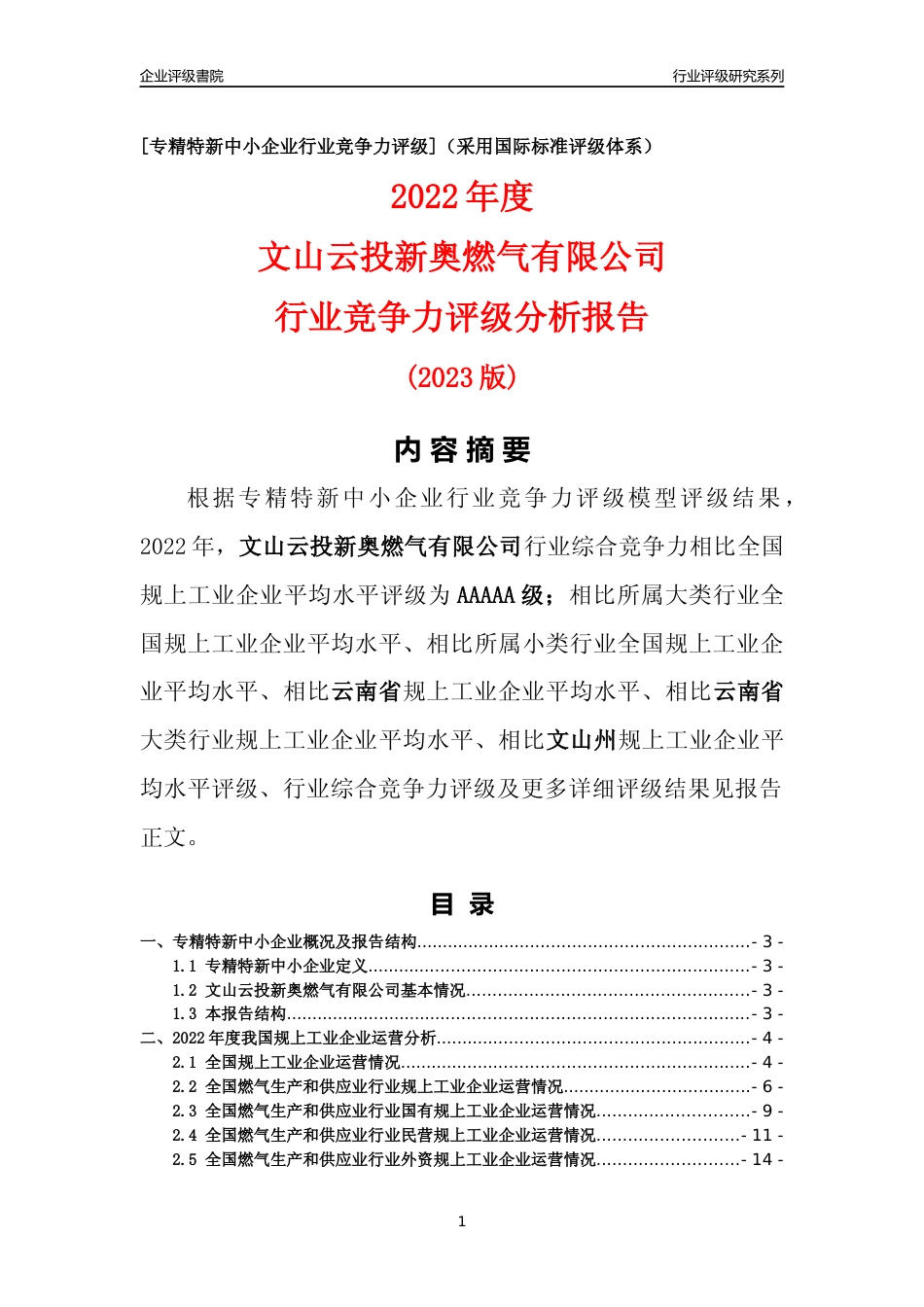 [专精特新]文山云投新奥燃气有限公司行业竞争力评级分析报告(2023版)_第1页
