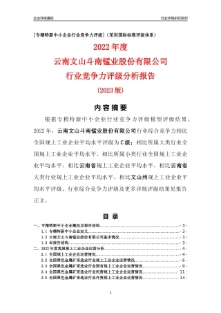 [专精特新]云南文山斗南锰业股份有限公司行业竞争力评级分析报告(2023版)