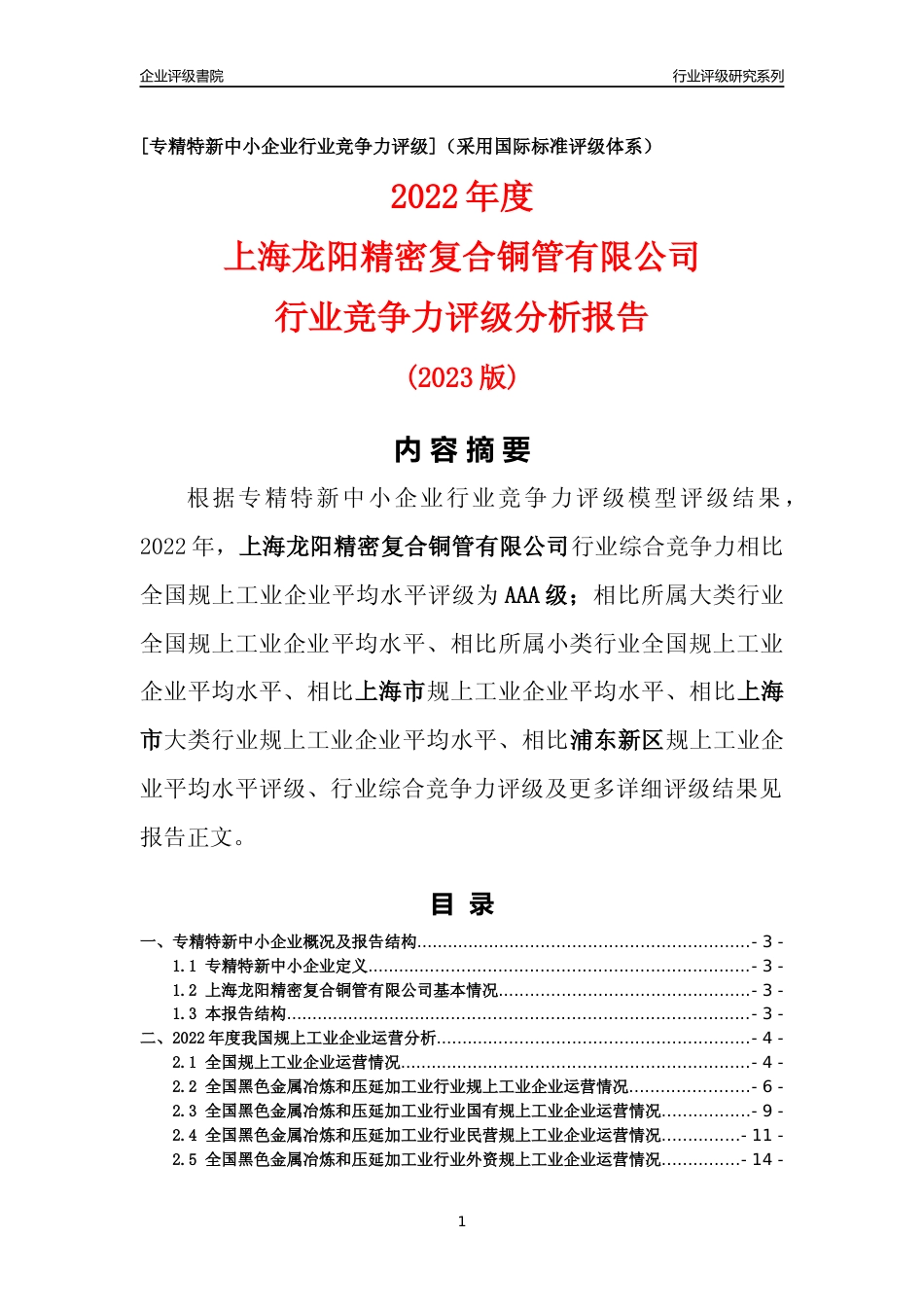 [专精特新]上海龙阳精密复合铜管有限公司行业竞争力评级分析报告(2023版)_第1页