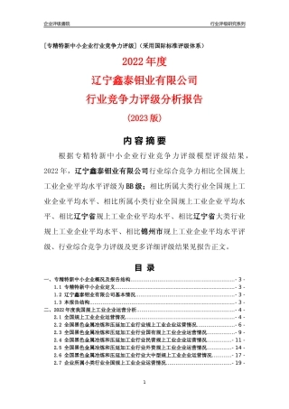 [专精特新]辽宁鑫泰钼业有限公司行业竞争力评级分析报告(2023版)