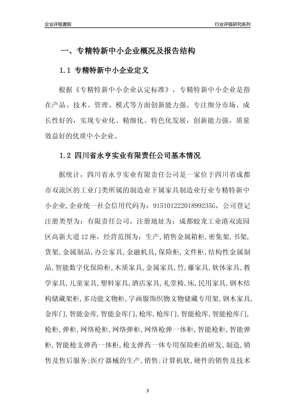 [专精特新]四川省永亨实业有限责任公司行业竞争力评级分析报告(2023版)_第3页