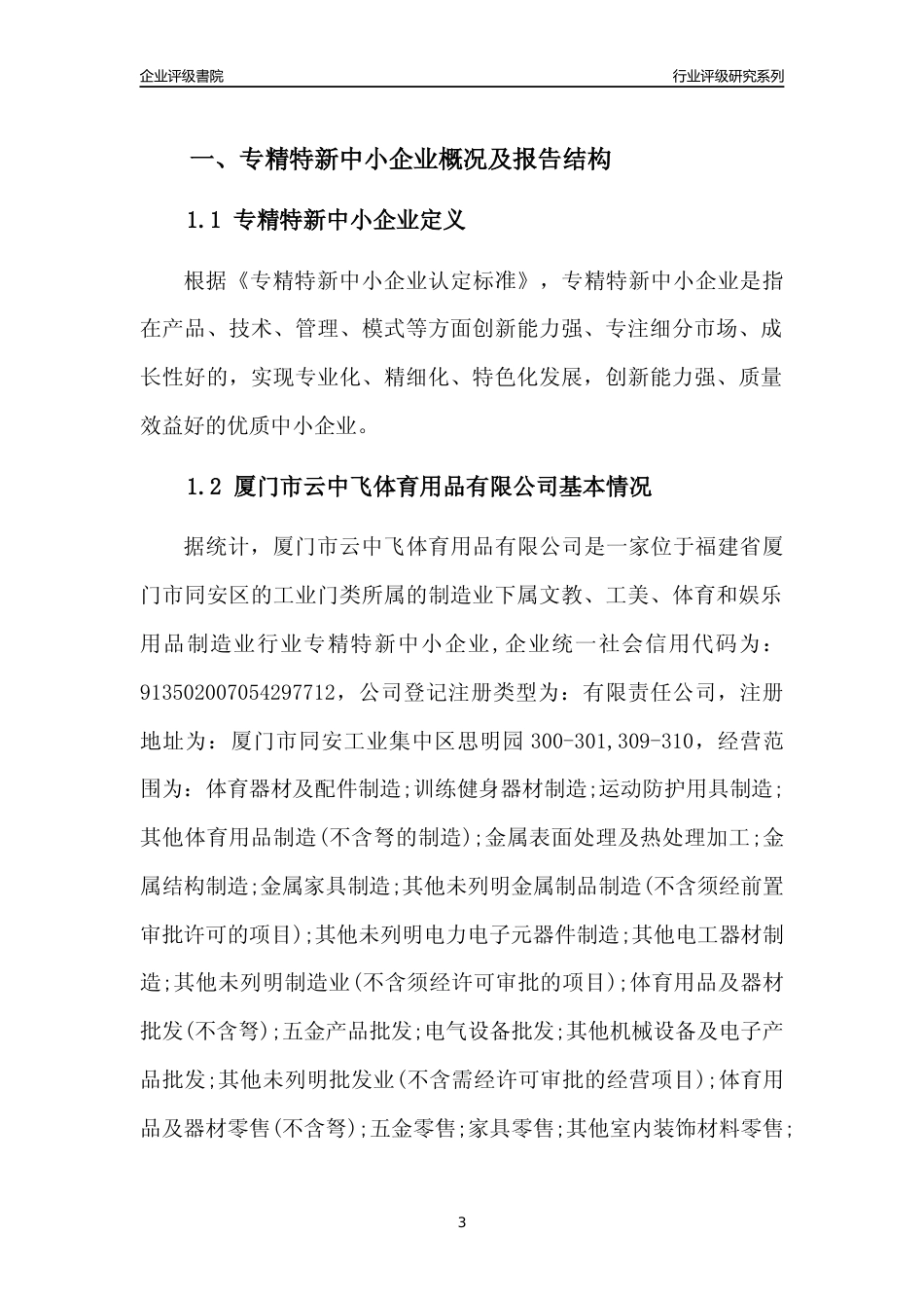 [专精特新]厦门市云中飞体育用品有限公司行业竞争力评级分析报告(2023版)_第3页