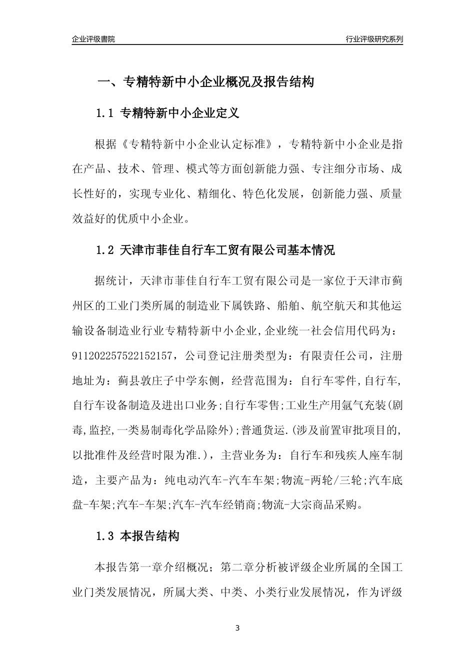 [专精特新]天津市菲佳自行车工贸有限公司行业竞争力评级分析报告(2023版)_第3页