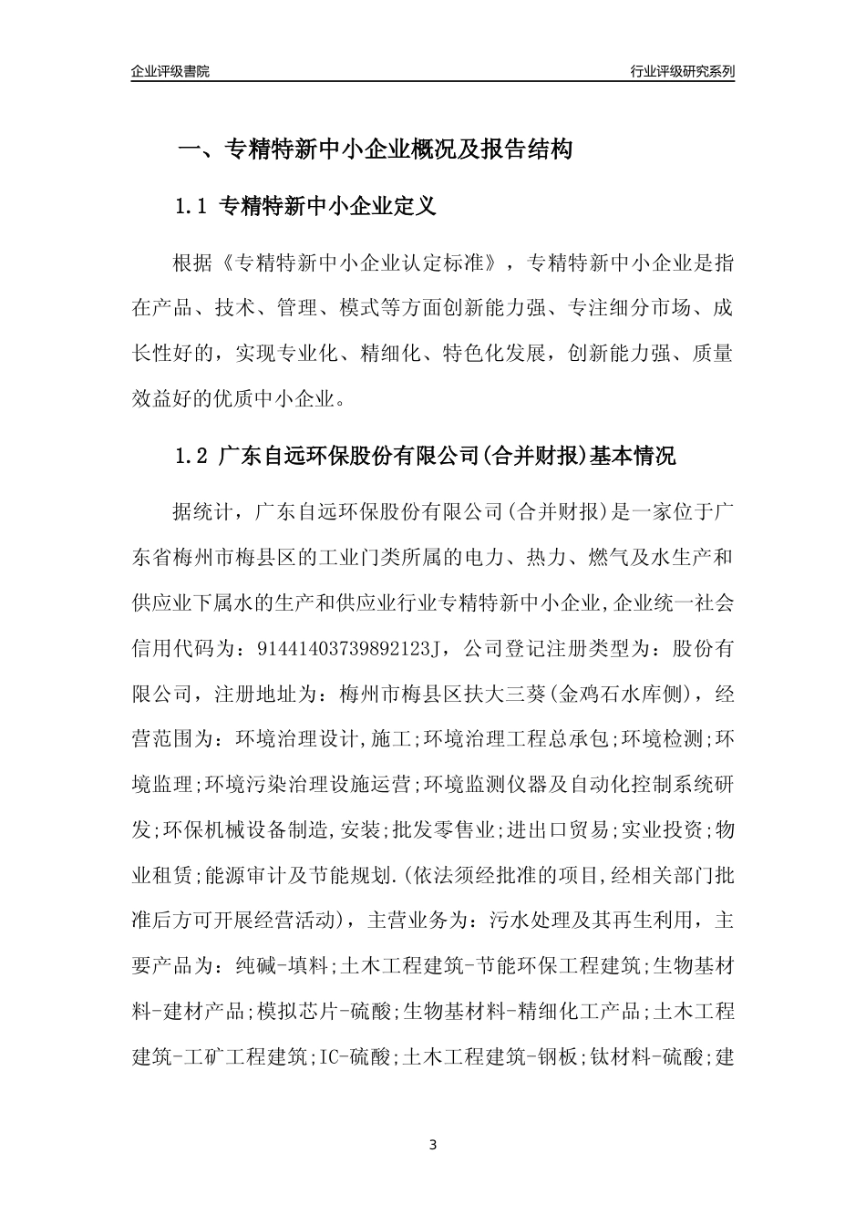 [专精特新]广东自远环保股份有限公司(合并财报)行业竞争力评级分析报告(2023版)_第3页