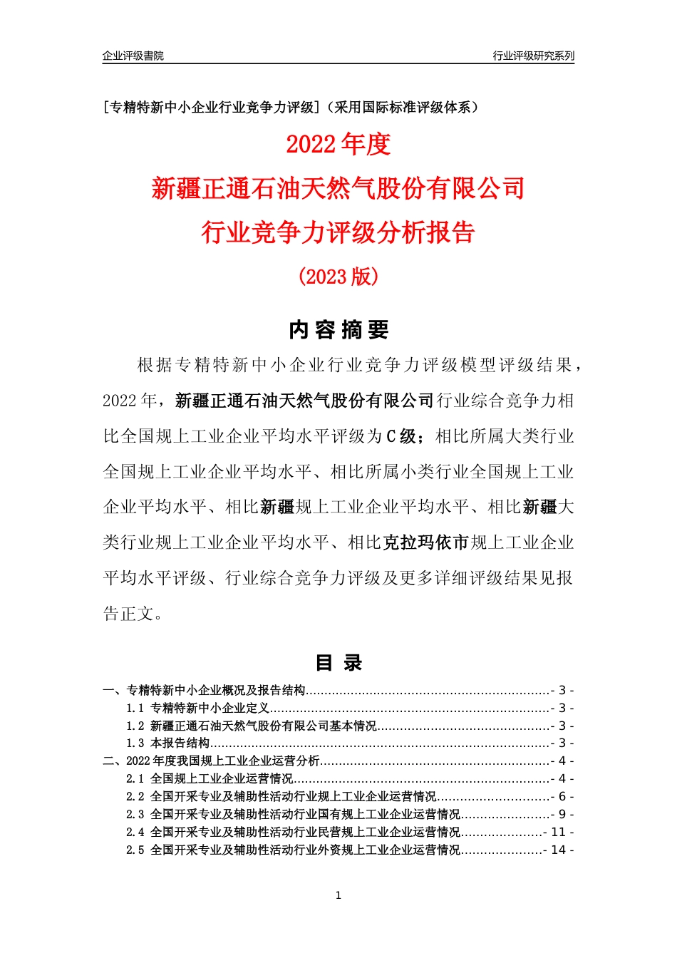 [专精特新]新疆正通石油天然气股份有限公司行业竞争力评级分析报告(2023版)_第1页