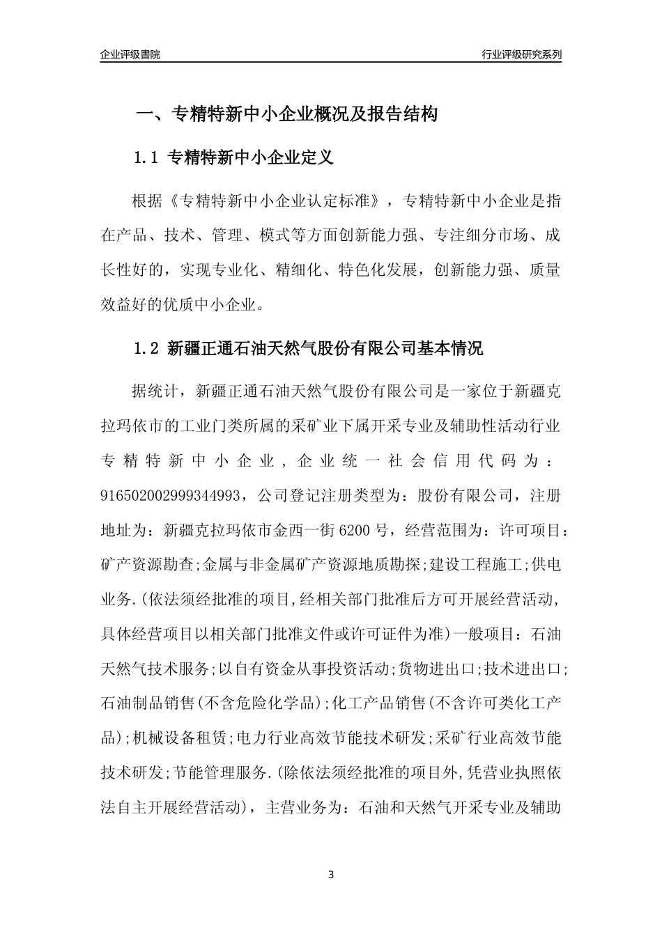 [专精特新]新疆正通石油天然气股份有限公司行业竞争力评级分析报告(2023版)_第3页