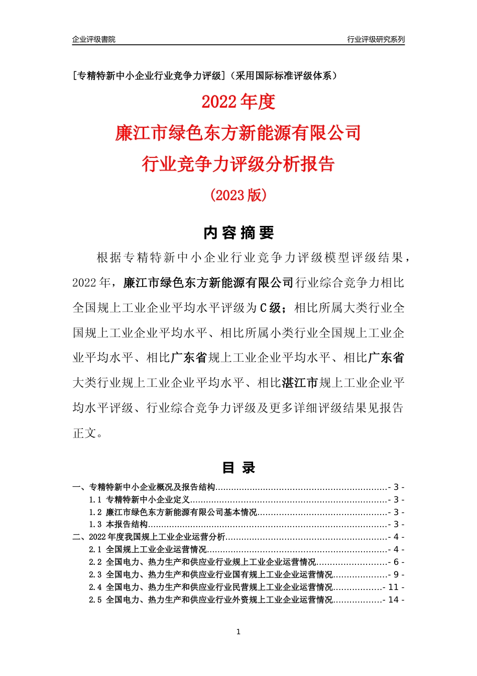 [专精特新]廉江市绿色东方新能源有限公司行业竞争力评级分析报告(2023版)_第1页