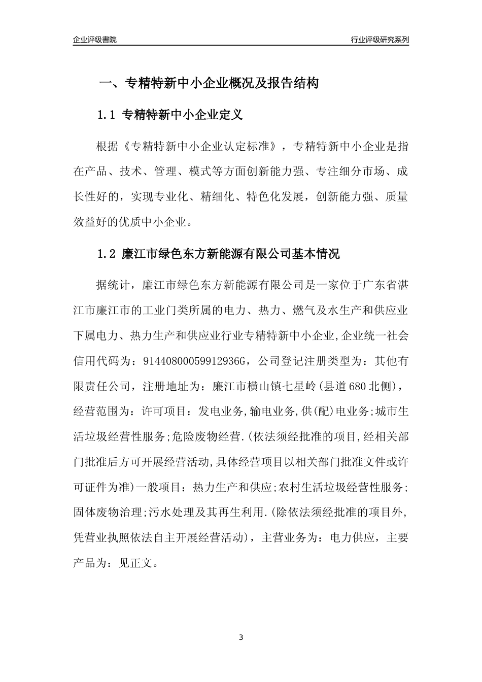 [专精特新]廉江市绿色东方新能源有限公司行业竞争力评级分析报告(2023版)_第3页