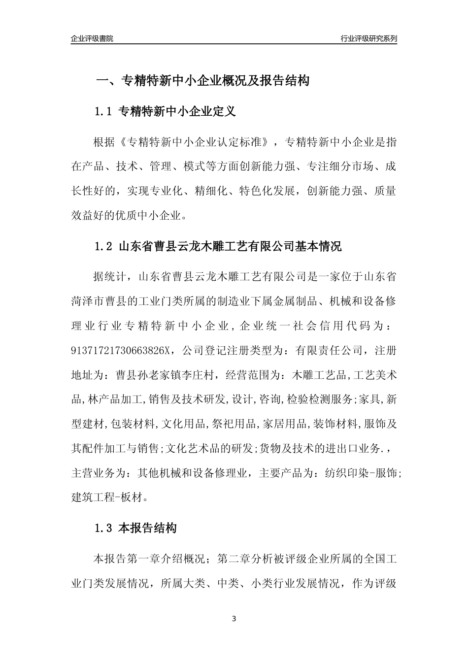 [专精特新]山东省曹县云龙木雕工艺有限公司行业竞争力评级分析报告(2023版)_第3页