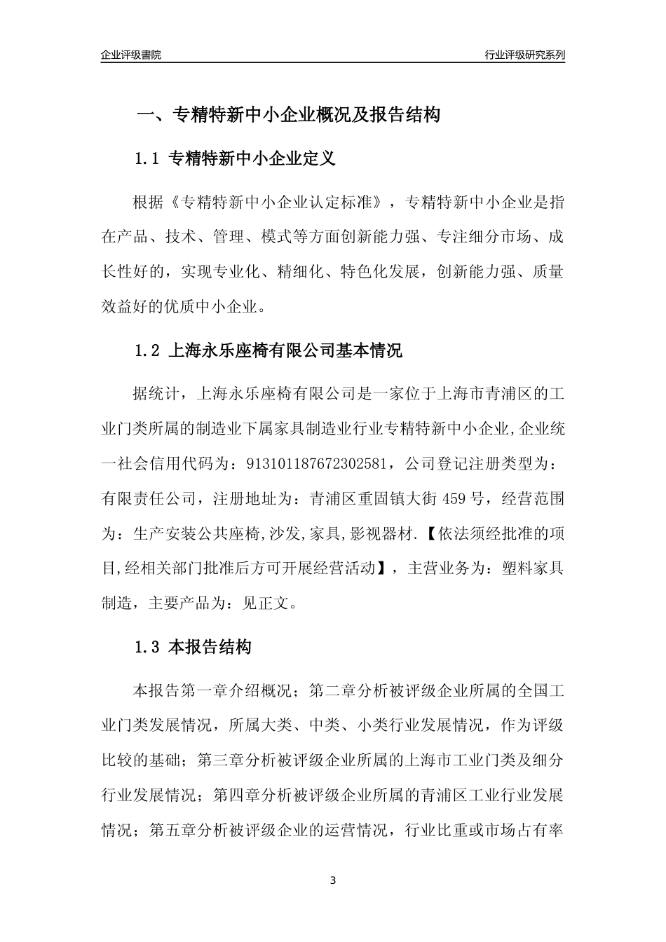 [专精特新]上海永乐座椅有限公司行业竞争力评级分析报告(2023版)_第3页