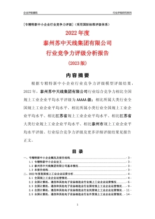 [专精特新]泰州苏中天线集团有限公司行业竞争力评级分析报告(2023版)