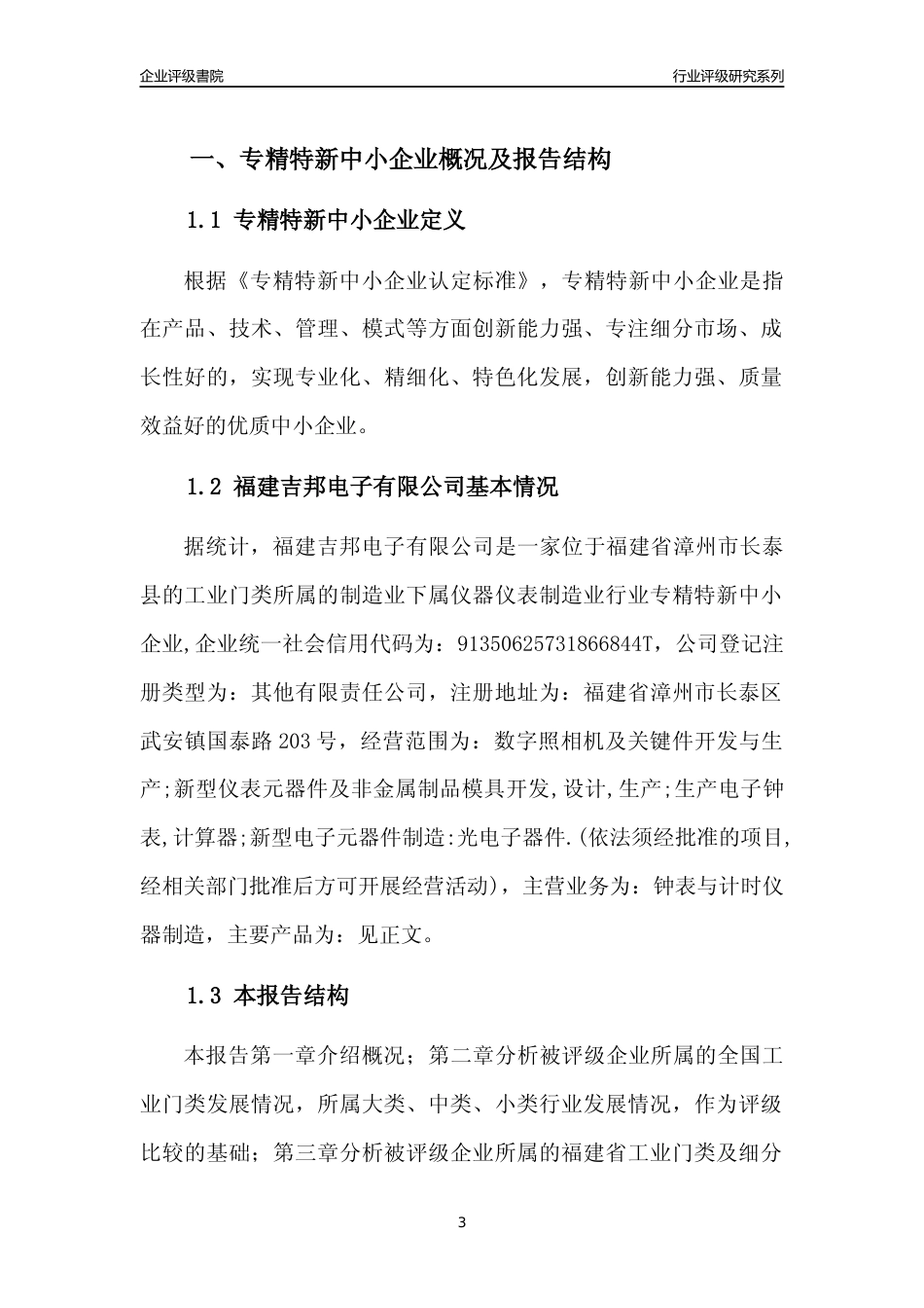 [专精特新]福建吉邦电子有限公司行业竞争力评级分析报告(2023版)_第3页
