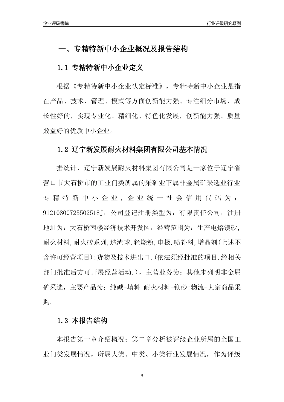 [专精特新]辽宁新发展耐火材料集团有限公司行业竞争力评级分析报告(2023版)_第3页